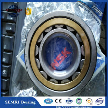 Original NSK Bearing Cylindrical Roller Bearing (N218)